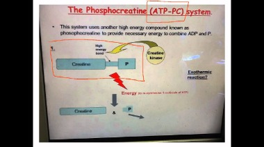 atp pc system